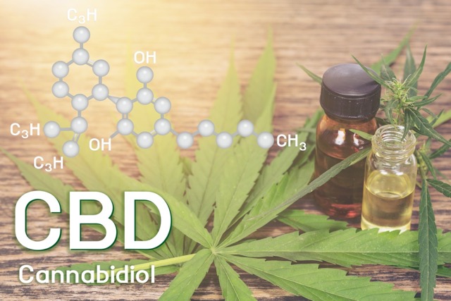Getting Started with CBD: The Basics for First Time Users