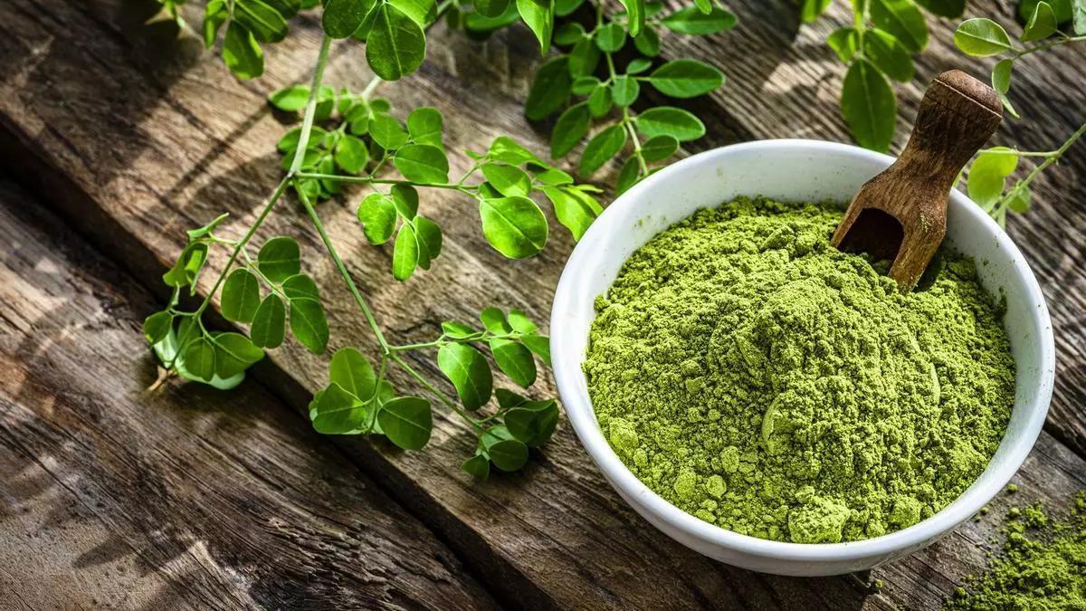 Why Moringa is considered one of the most nutritious plant sources