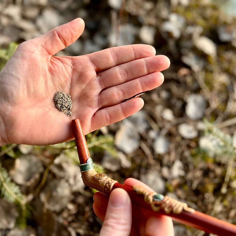 Rap&eacute; ceremonial ritual with Tepi