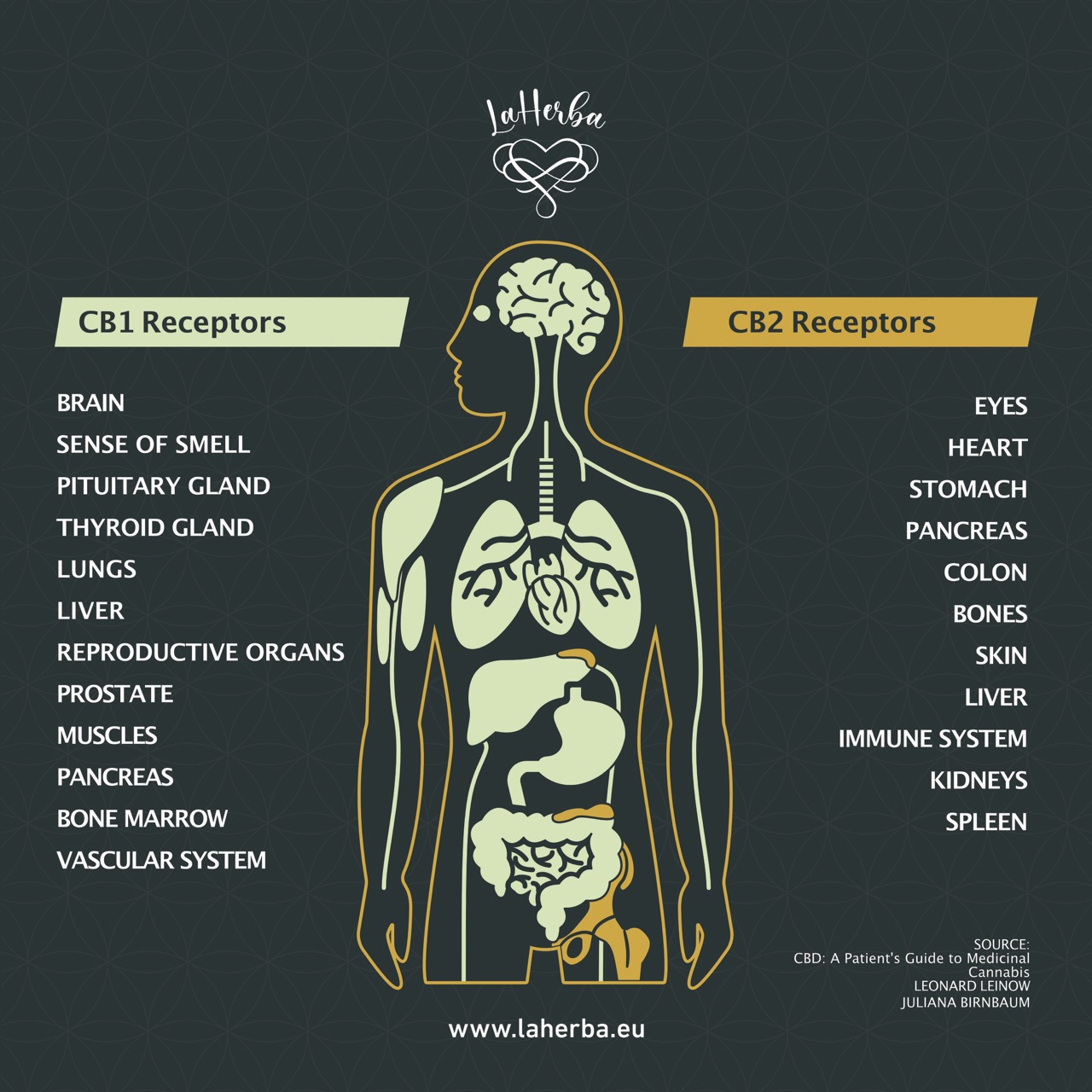 Endocannabinoid system of human body ECS Receptors