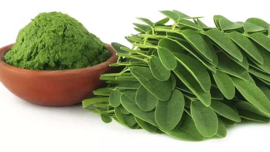 Moringa powder eshop