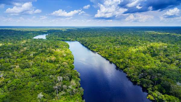 Amazon forest river
