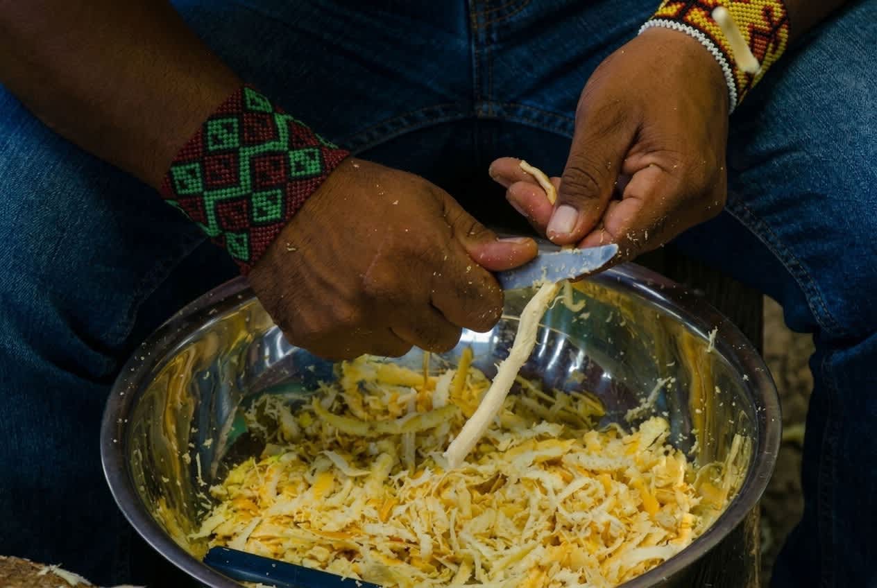 Hand scraping root material into a metal bowl