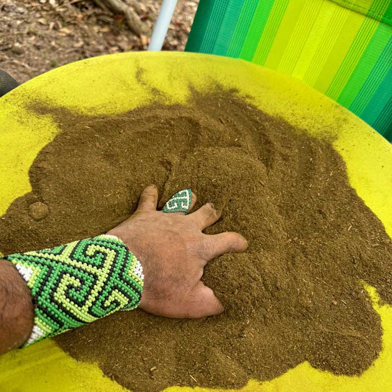 Rap&eacute; powder 