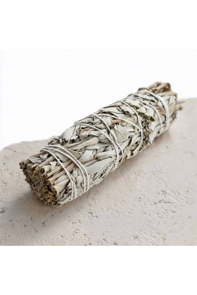 Image for Sage White King-sized Salvia 23cm