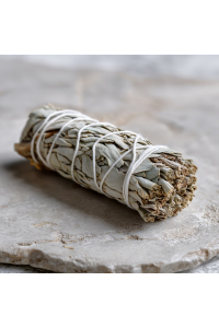 Image for Sage White (Salvia Apiana)