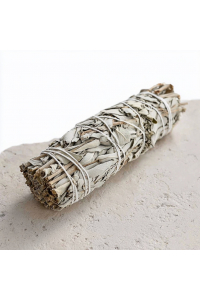 Image for Sage White King-sized Salvia 23cm