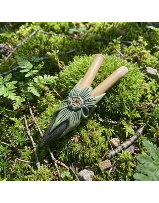 Image for Kuripe Aya Antonio