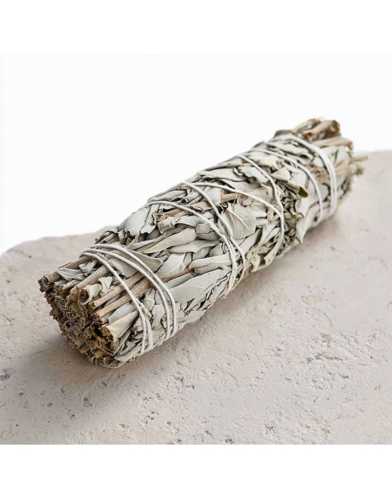 Image for Sage White King-sized Salvia 23cm