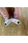 Image for Kuripe Fossil